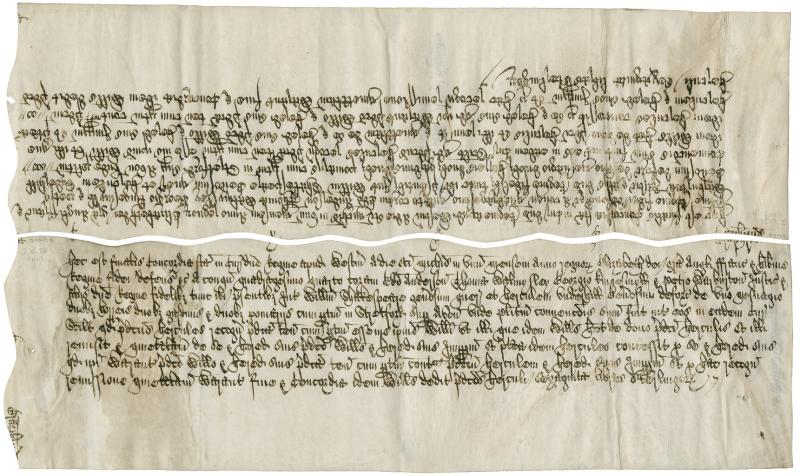 No alternative text available.