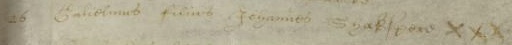 Image of a handwritten, slightly curved line of text, reading Guiliamus filius Johannes Shakspere, which is Latin for William son of John Shakspere