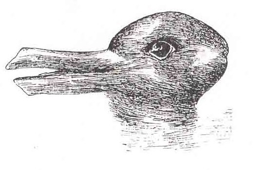 
                           A sketch of an animal that appears to be a duck from one angle and a rabbit from another.
                        